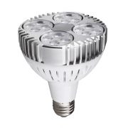 LED Par30 bulb Manufacturer