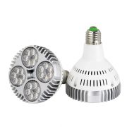 35W LED par30 bulbs in Jewelry Stores