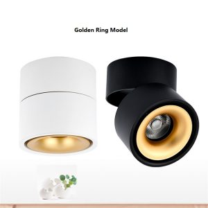 Buy Surface mounted downlight on line